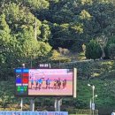 진도공설운동장 이미지