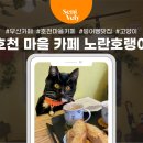 노란호랭이
