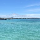 노랑통닭 당리점 | 25년 5월 일상