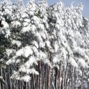 경인종로약국 이미지