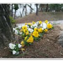 관음사 입구 다리 이미지