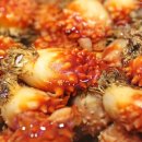 영어조합법인 바다의 아침 이미지