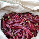 서리농장 이미지