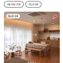 마미호시 | 제주 숙소 - 에어비앤비 마미호시(한림, 협재)
