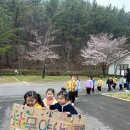 서천초교병설유치원 이미지