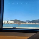 울산정자참가자미회타운 이미지