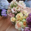 명화유치원 이미지