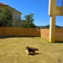 세븐일레븐 강화길상중앙점 이미지