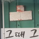 제주빌레왓감귤농장 네이버블로그