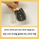삼재 돼지띠, 토끼띠를 위한 따뜻한 선물 - 귀인 부적 키링 후기