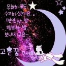 술비어 이미지