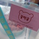 꿀떡곰