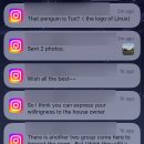 암농장 | [호주워홀] D+42~43 게톤 인스펙션, 농장 공장 직컨, 하이게이트 힐 파크, 써니뱅크