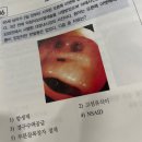 고신농장 | PLOG
