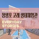 진매트체험관 | 울산 장생포 고래생태체험관 후기 | 아이와 가기 좋은 실내 나들이 코스