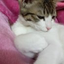 아리랑노래연습장 이미지
