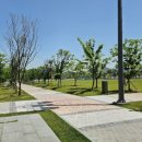 호수공원중앙수목원로 이미지