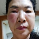 호범농장 Daum카페