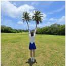 오션힐스 골프 & 리조트 | [골프여행]유류세 오르기 전에 잡은 사이판 골프여행 🌴 코럴오션리조트 솔직 후기