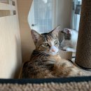 운남동물병원 이미지