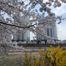 황치정 명품세탁 이미지