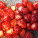 딸기잼 만들기 제철 딸기로 맛있는 잼 만드는 시간과 방법 이미지