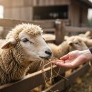 유연목장 이미지