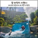 리젠시 | 괌 하얏트 리젠시 후기｜아이와 투몬비치 오션프론트 객실 수영장 솔직 리뷰