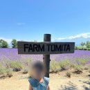 네추럴 팜 | 비에이 팜도미타 7월 방문｜라벤더 절정시기 아이와 함께한 여행