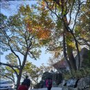 달빛무인텔 이미지