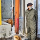 노천농장 이미지