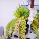 대서플랜트 이미지