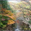 GS25 갈산역 이미지