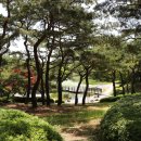 용의발광장 네이버블로그