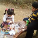 늘푸른청과 이미지