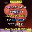 청춘국밥 이미지