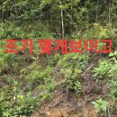 산도라지 수확산행.121 (원본 약초 매니아 카페) 이미지