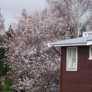 선한목자교회 이미지