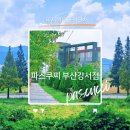 파스쿠찌강서점