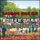 넘버25울산무거점 | 울산대공원 장미축제 2025, 초대가수 라인업까지 완벽 정리!