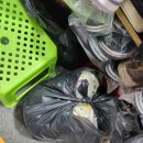 그린스타약국 | 나트랑 여행 2일차 내돈내산 후기 (글 길어요)