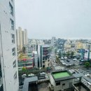 에코세잔 이미지