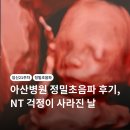 (주)쵸코스페이스 | 임신 21주차, 아산병원 정밀초음파 후기 NT 걱정이 사라진 날