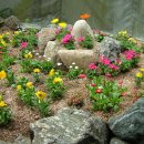 꽃밭교회 이미지