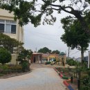 토산초등학교 병설유치원 네이버블로그