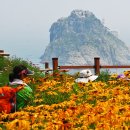 꽃이있는풍경 이미지