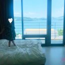 비고리조트 8 이미지