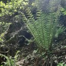 만나농장 이미지