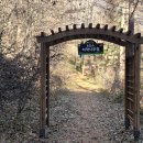 치악산둘레길 9코스 자작나무길 | 치악산 둘레길 9코스(자작나무길)