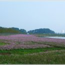 경포저류지 이미지